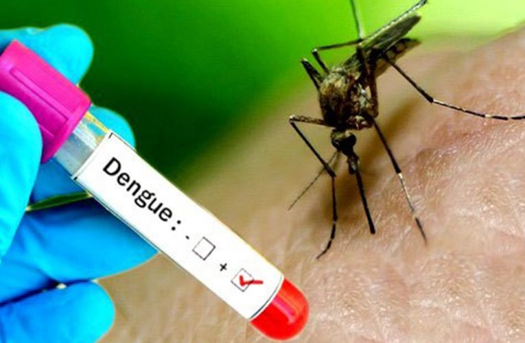 देशभर डेंगु संक्रमितको संख्या १४ हजार ३५७ पुग्यो