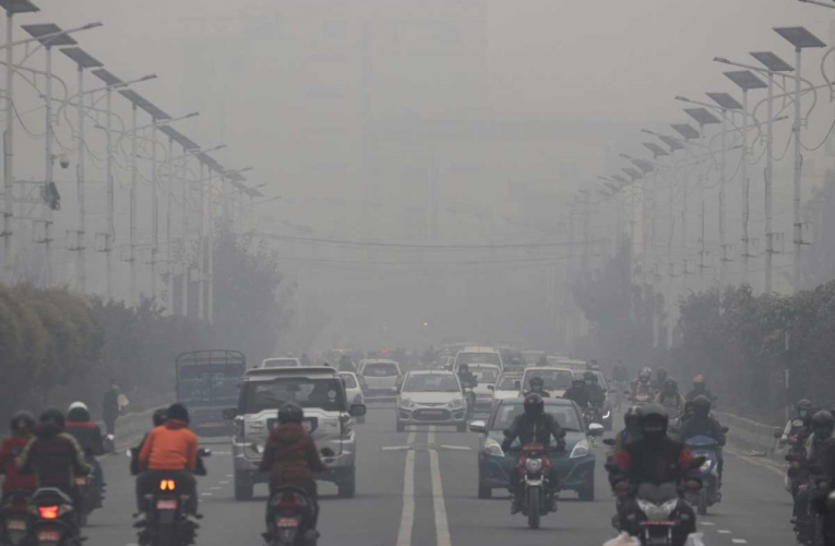 फोहोर, प्रदूषण र अस्तव्यस्त शहर बन्यो काठमाडौं,सर्वसाधारणलाई सास लिन गाह्रो,जीवजन्तु विस्थापित