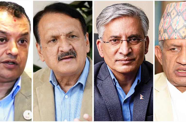 सरकारको न्यूनतम साझा कार्यक्रम बनाउन कार्यदल गठन