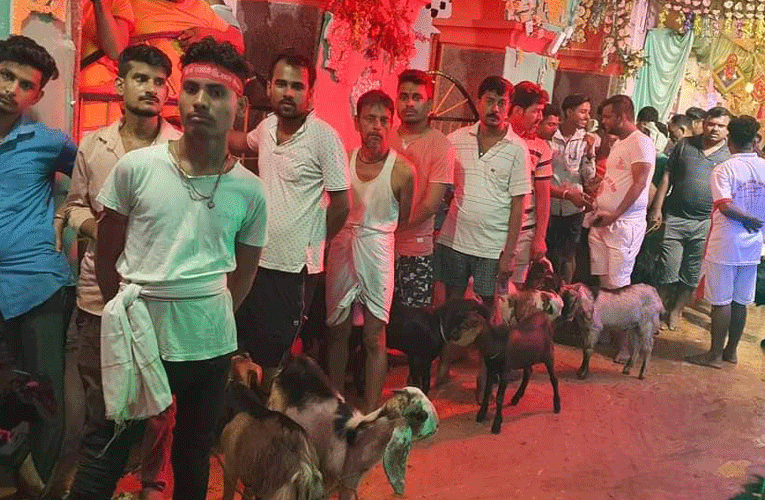 राजदेवीमा चढाइयो १५ हजार बोकाको बलि