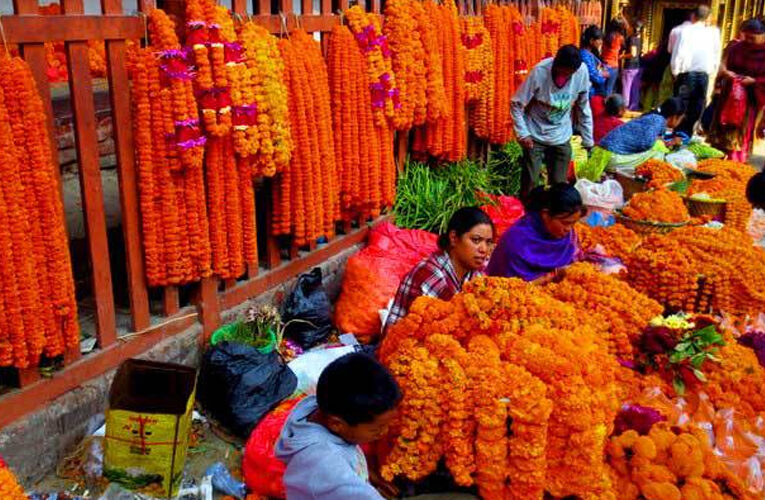 फूल व्यापारका लागि काठमाडौं महानगरले तोक्यो यी ४६ स्थान
