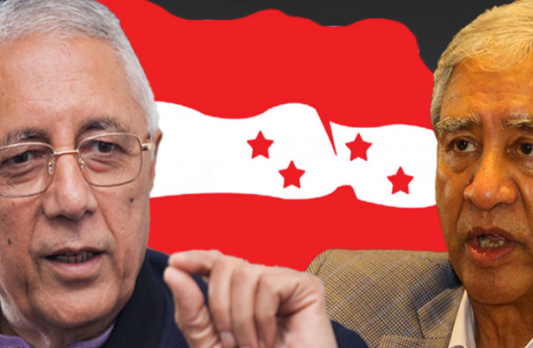 महाविधेशन विवाद: देउवासँग वान टु वान छलफलमा शेखर