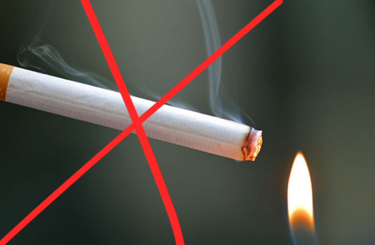 चन्द्रागिरि नपामा सूर्तिजन्य पदार्थको बिक्री वितरणमा रोक