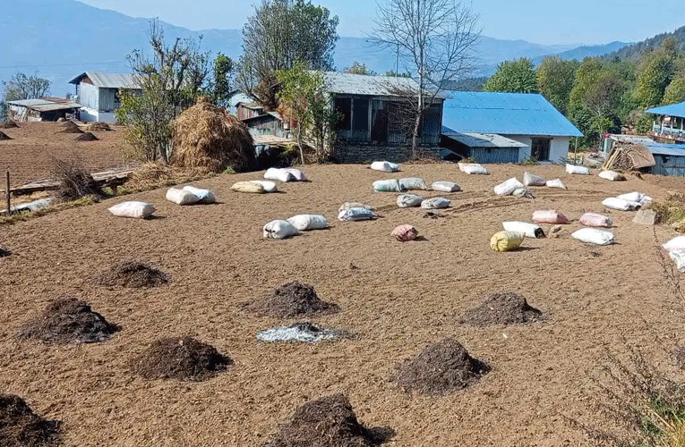 पानी नपरी बित्यो हिउँद, किसान चिन्तित