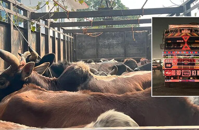 गोरु तस्करी प्रकरण: चौकी इन्चार्जसहित ३ प्रहरीको जिम्मेवारी खोसियो