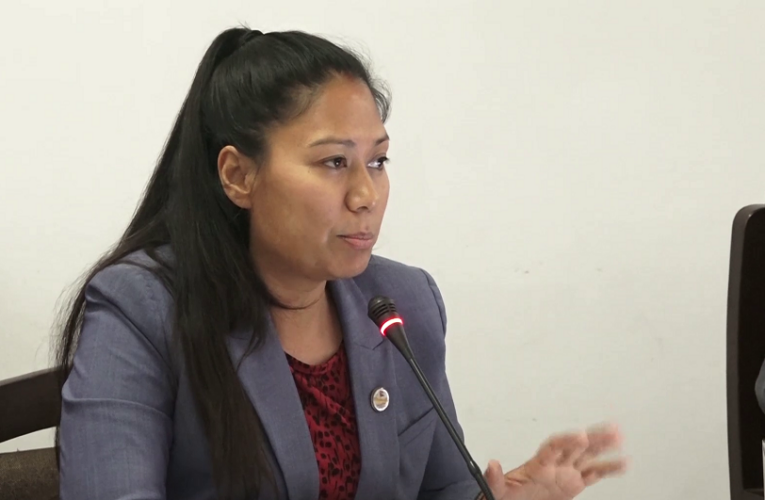 पुराना नेतालाई कुर्सीमा फर्कन नदिन वैकल्पिक शक्तिबीच एकता अपरिहार्य: सुमना  श्रेष्ठ