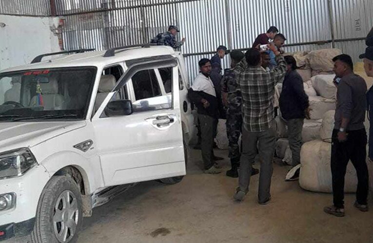 सप्तरीकाे गोदाम घरमा प्रहरीको छापा,२४ क्विन्टल गाँजा बरामद