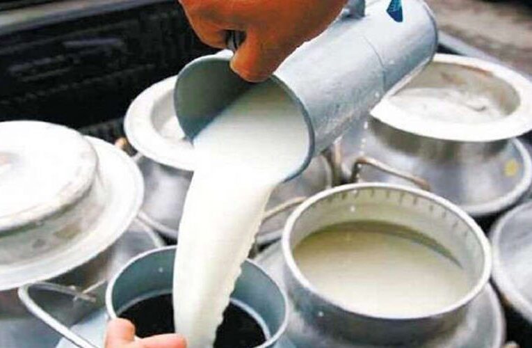 दूध उत्पादकले पाउँदैनन् सरकारले तोकेको मूल्य