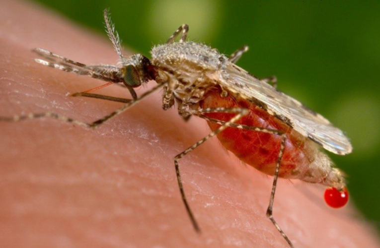 कञ्चनपुरमा औलोको जोखिम