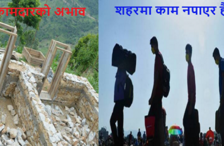 गाउँमा कामदारको अभाव, शहरमा काम नपाएर हैरान
