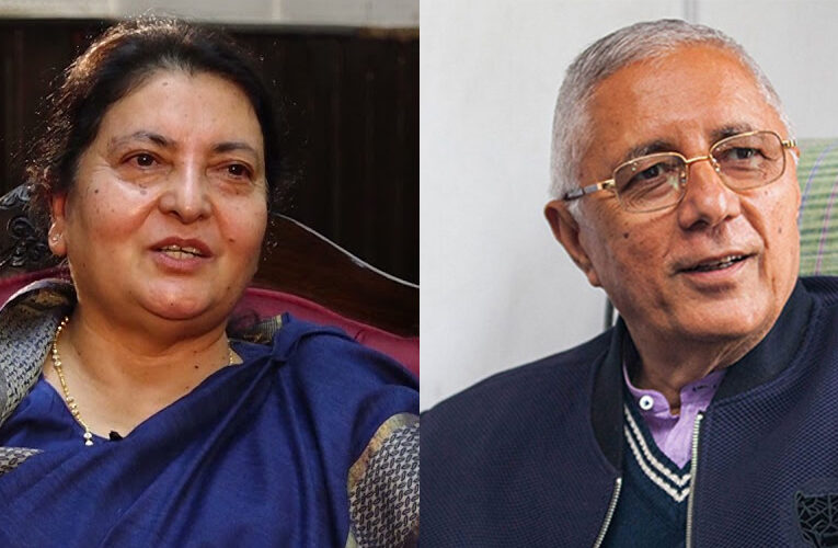 विद्या र शेखरबीच भेटवार्ता