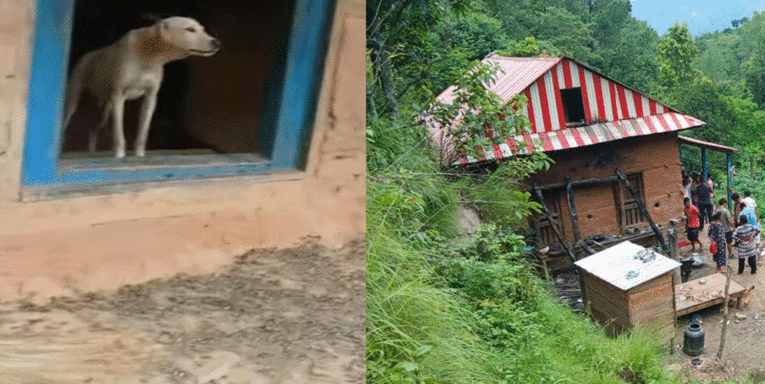 एकै परिवारका १६ जना बेपत्ता, घरमा रोइरहे कुकुर र अलपत्र चौपाया