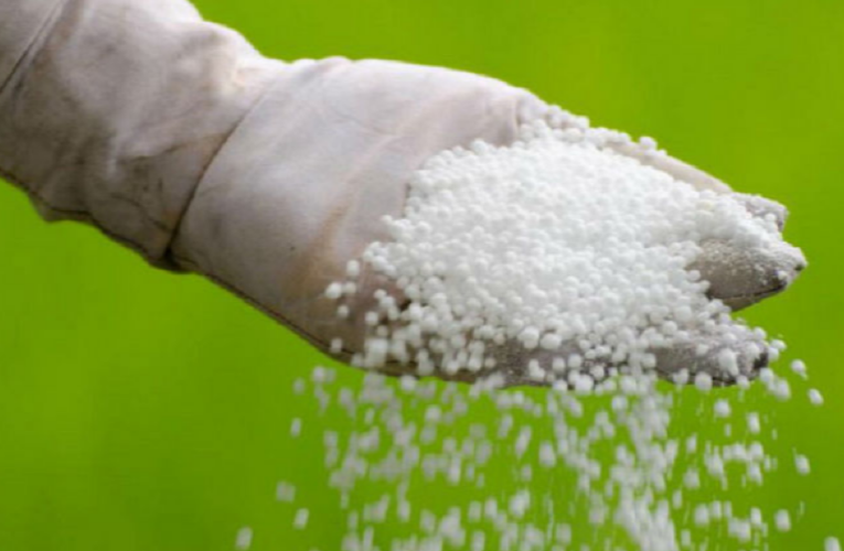 १५ लाख २३ हजार बोरा रासायनिक मल कोलकाता बन्दरगाहमा