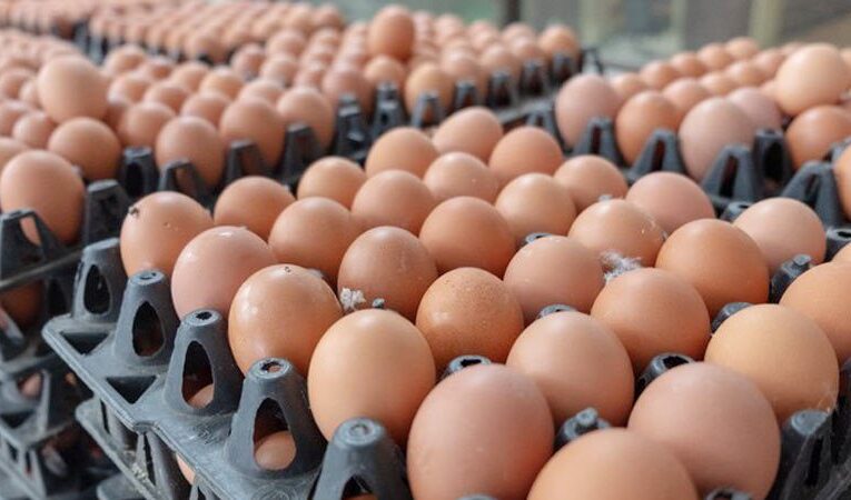 अण्डाको मूल्यमा भारी वृद्धि,प्रतिक्रेट कति ?