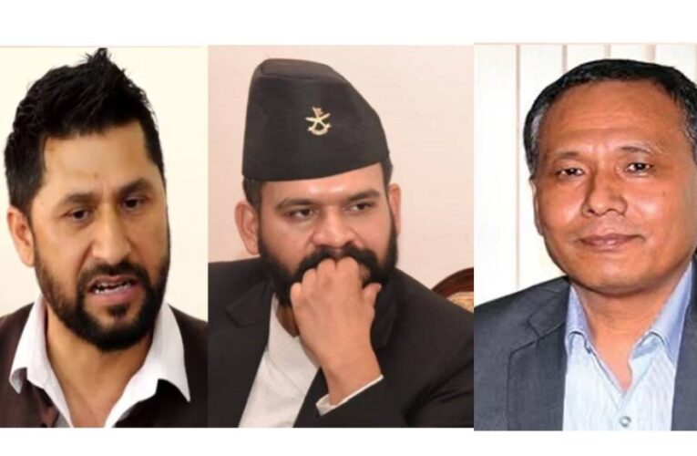 रास्वपाको बृहत्तर एकता घोषणा सभा आज हुँदै