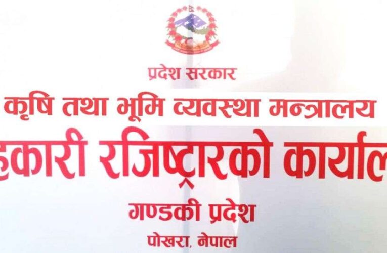 गण्डकी प्रदेशका २६ सहकारीको दर्ता खारेजी, अरु १० प्रक्रियामा