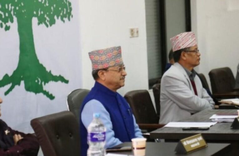 कांग्रेसको १५औँ महाधिवेशनको नयाँ कार्यतालिका ल्याउने प्रस्ताव अनुमोदन