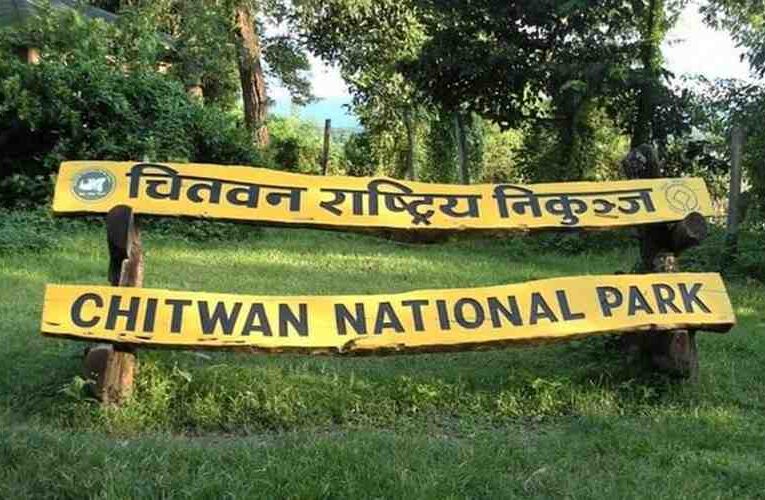 चितवन राष्ट्रिय निकुञ्जमा तालिमप्राप्त कुकुर परिचालन