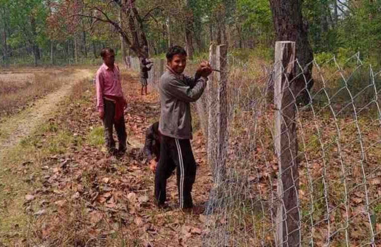 वन कार्यालयले एक लाख जनालाई दियो रोजगारी