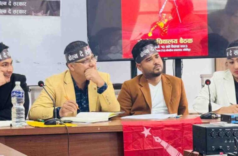 अनेरास्ववियुको घोषणापत्र: निस्शुल्क शिक्षादेखि कालापानीसम्मका मुद्दा