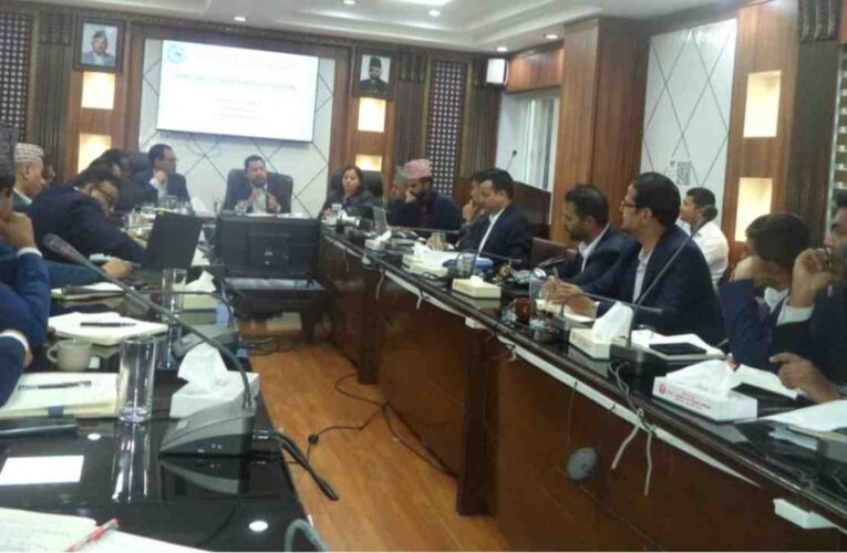 तत्काल गर्नुपर्ने कामको चेकलिस्ट बनाउन उर्जामन्त्रीको निर्देशन