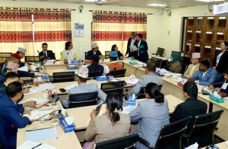 सरकारका कामकाज हेर्न उपसमिति गठन, कसलाई के जिम्मेवारी ?