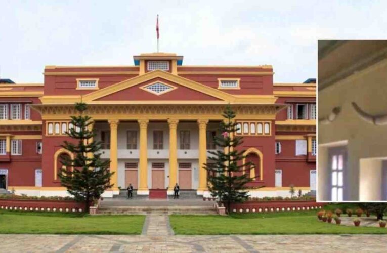 राष्ट्रपति कार्यालयबाट कसले चोर्यो हात्तीका दाह्रा