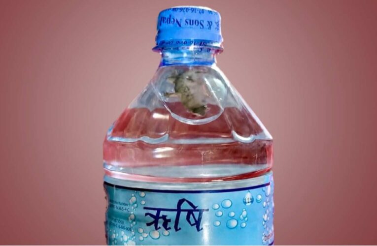 सिल प्याक पानीको बोतलभित्रै भेटियो छिपकिली