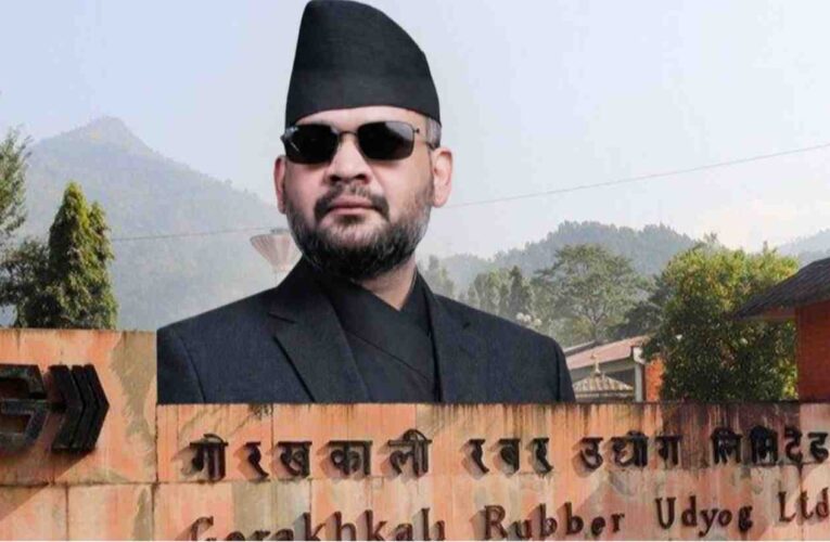 गोरखकाली रबर उद्योग सञ्चालन गर्ने तयारी,सरकारले सुरु गर्यो अध्ययन